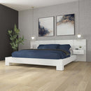 SUA-V  Combinaison ZEN - 5 mcx