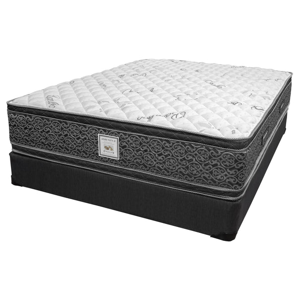 Dreamstar Bedding LTD Serenity 2 Firm Pillow Top Mattress Set (Twin) IMAGE 1